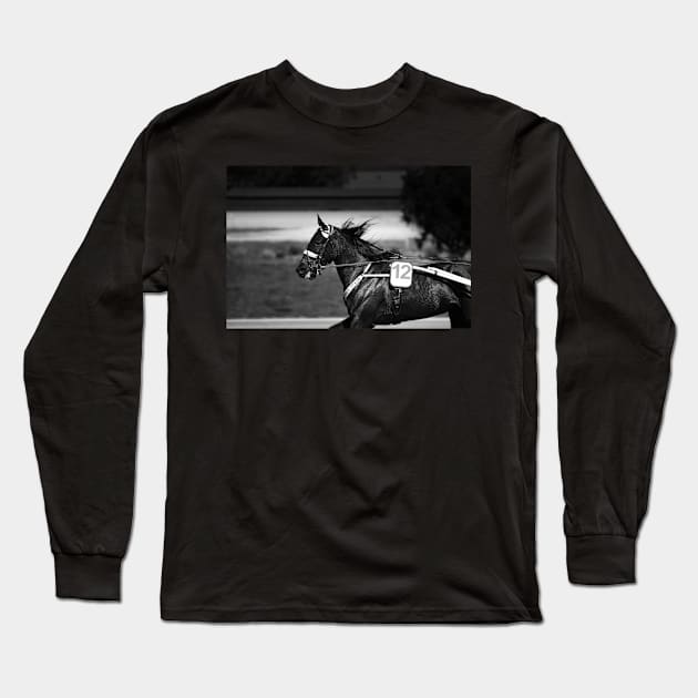 harness horse cart racing - 12 Long Sleeve T-Shirt by hottehue